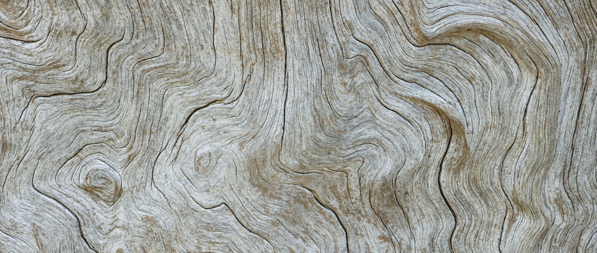 Aesthetic Orthopaedics