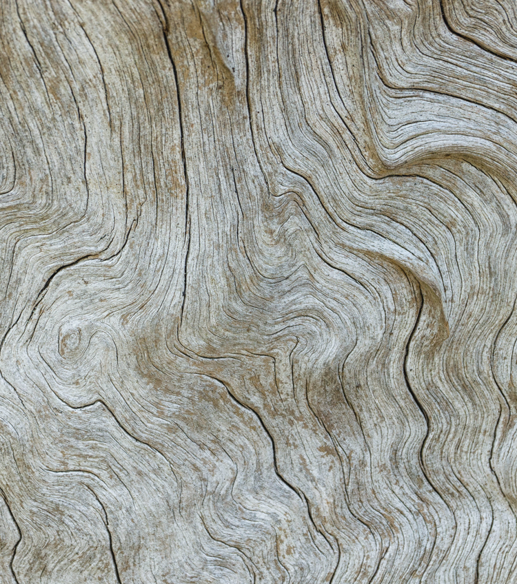 Aesthetic Orthopaedics